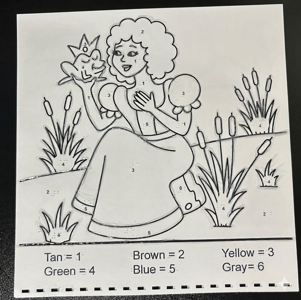 Braille paint by numbers sheet with tactile lines